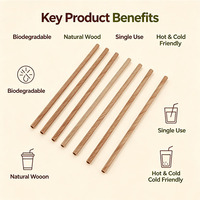 Pajitas Desechables Ecológicas, Pajitas de Bambú Natural, Biodegradables, Compostables, para Fiestas, Venta al por Mayor