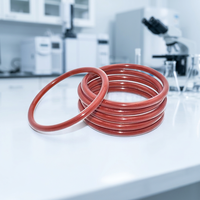 BoilPeak PTFE-Verkapselter PFA FEP O-Ring Dichtung FKM Gummi VMQ Silikon Beschichtung Hochtemperaturbeständig (-30°C~+120°C) 20-90 Standard