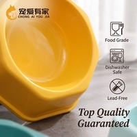 Gamelle pour animaux de compagnie en plastique hexagonale légère et durable, couleur unie, pour usage intérieur, mangeoire pour chat, prix d'usine, pour commande en gros