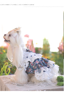 Falda Floral de Poliéster Personalizada de Lujo para Perros Pequeños, Bichones, Malteses, Fiesta de Té de Primavera - Product Image 5