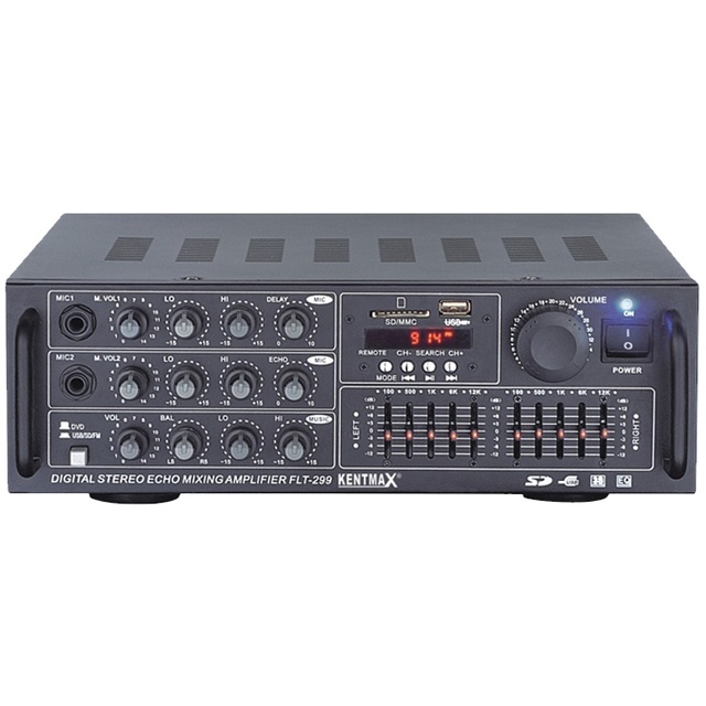 Factory Price Cost Effective 30 Watt 2 Channel EQ LED Amplifier with USB and SD