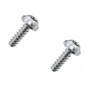 Custom Torx Screw Head Stainless Steel Torx Flat Head Machine Screw