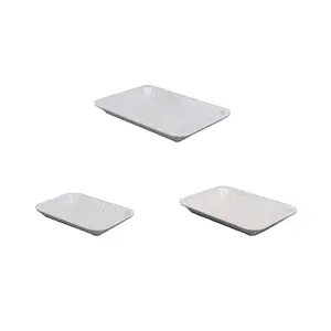 Plastic TRAY RECT 1 TIPO WHITE PS High Quality Plastic Packaging El Watania For Industries
