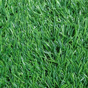 Meisen hierba verde para el hogar jardín balcón decoración azotea césped paisajes coloridos alfombras de césped artificial natural - Product Image 5