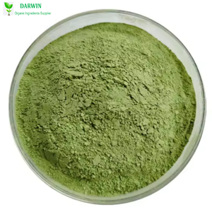 Натуральный органический экстракт листьев Моринги порошок - Product Image 4