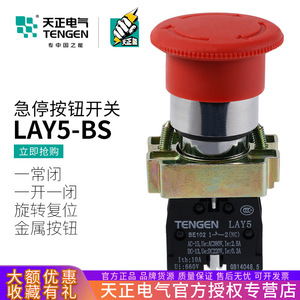 Tengen LAY5 Emergency Stop <b>Button</b> Red Mushroom Head Self-Locking Metal Push <b>Button</b> Switch IP40 AC/DC 220V - Product Image 5