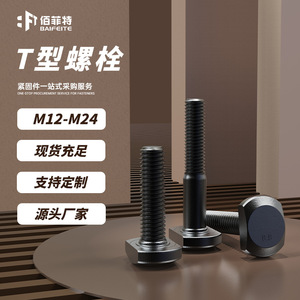 Baifite T-Bolt M12-M24 Acier au carbone Oxyde noir Qualité industrielle Fixation - Product Image 1