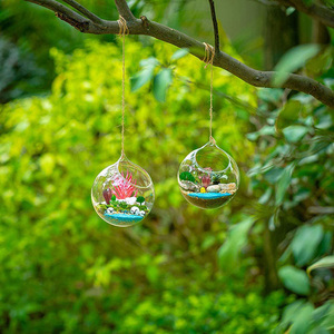 Drops hipping Glass Große hängende Pflanz gefäße Wasser Luft Pflanze Sukkulente Behälter Terrarium Kits 2 Löcher mit Schnur Seil für zu Hause - Product Image 5