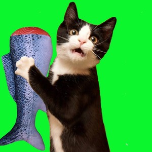 Kingtale Custom <span class=keywords><strong>Fish</strong></span>-Shaped Chew Interaktives Spielzeug mit Katzenminze - Product Image 3