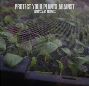 कस्टम डिय फायरप्रूफ मच्छर बग-प्रूफ अदृश्य ग्लास्फाइबर फाइबर फाइबर शीसे तार जाल खिड़की का दरवाजा कीट स्क्रीन फ्लाई नेट आधुनिक - Product Image 6