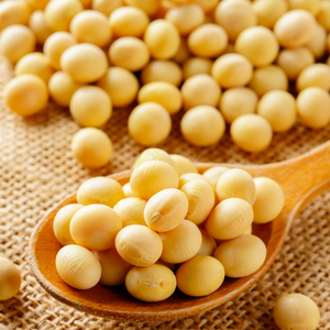 Sauce <span class=keywords><strong>de</strong></span> soja chinoise héritage authentique fraîche <span class=keywords><strong>de</strong></span> qualité supérieure soja <span class=keywords><strong>noir</strong></span> sans OGM sauce <span class=keywords><strong>de</strong></span> soja <span class=keywords><strong>de</strong></span> cuisson aux haricots <span class=keywords><strong>de</strong></span> soja naturels biologiques - Product Image 3