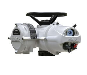 Actionneur multi-tours IQM IQ3M pour le contrôle dans les secteurs pétrolier, gazier, hydraulique et électrique - Product Image 5