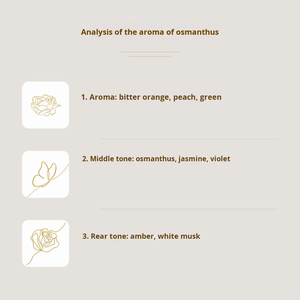 Recarga de aceite esencial de 500ml para máquina difusora de Aroma, soluble en aceite, sin agua, aroma desodorante de larga duración para el hogar del <span class=keywords><strong>Hotel</strong></span> - Product Image 5