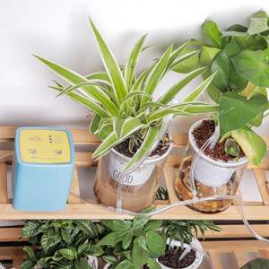 Dispositif d'arrosage automatique intelligent WIFI à double pompe pour plantes en pot, système d'irrigation goutte à goutte pour balcon et jardinage - Product Image 1