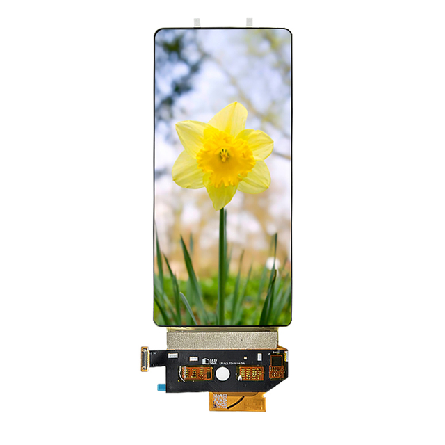 6.67 Inch Flexible OLED Display 1080*2400 Resolution Capacitive Touch Screen 4 Lanes Mipi Interface AMOLED Display