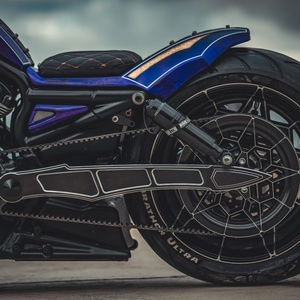 Kit de chaîne à double bras oscillant V-ROD pour moto personnalisée INCA - Product Image 6