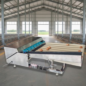 เครื่องคัดแยกไข่ความแม่นยำสูง ขนาดกะทัดรัด 2000 ฟองต่อชั่วโมง สแตนเลส พร้อมเครื่องชั่งดิจิตอล 220V - Product Image 1