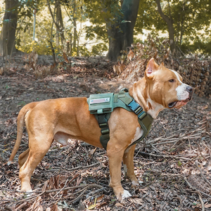 Luxury Model Spot Tactical <strong>Dog</strong> Training Harness Medium Large Pet Vest with Nylon Explosion-Proof <strong>Dog</strong> Chain Fashionable <strong>Belt</strong> - Product Image 5