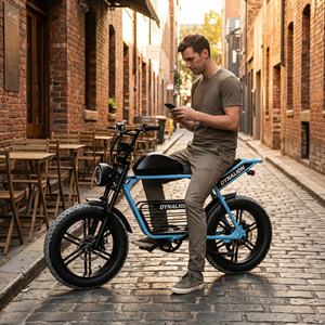 Vélo électrique rétro 48V avec écran LCD et éclairage LED, vélo électrique élégant à pneus larges pour un style de vie urbain - Product Image 6