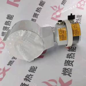 Transformateur de débitmètre Shang Hai Ran Xian 65Z50-40 pour KromSchroder Spot 20 pour Elster - Product Image 4