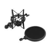 Support antichoc professionnel en plastique pour microphone avec filtre anti-pop et tête articulée pour studio et diffusion
