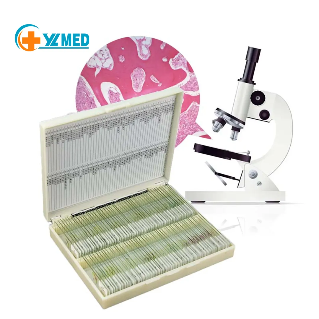 100 Arten Medizin Wissenschaft Mikroskop menschliches Gewebe vorbereitet Objektträger menschliche Histologie Objektträger für Education Teaching Lab Supplies