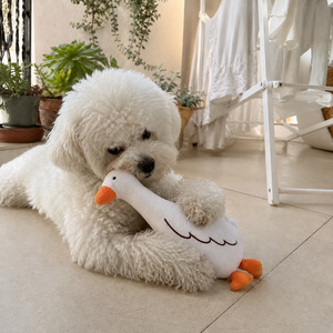 Funny Cartoon Pet <b>Plush</b> Play Toy Soft Comfort Stuffed Toy for Pet Daily Fun Bite Resistant Pet Entertainment Toy - Product Image 2
