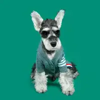 Xxxl Hunde kleidung Katzen bekleidung Kunden spezifisches Design Luxus-Haustier kleidung Pullover