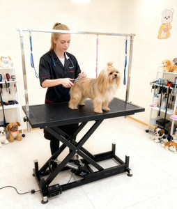 Tables de toilettage pour chiens, plateforme hydraulique électrique avec bras en Z et bras en L, et tapis épais pour usage professionnel - Product Image 4