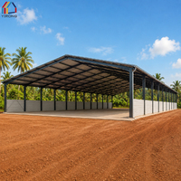 Edificio de Acero Prediseñado Personalizado para Pabellón Deportivo Interior, Cancha de Pickleball y Centro de Entrenamiento