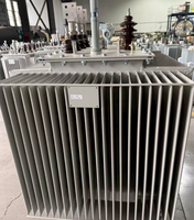 Transformateurs immergés dans l'huile Copper S22-M-1250/10