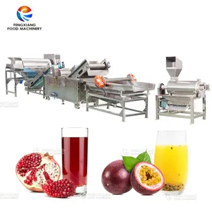 industrielle Granatapfelverarbeitung Produktionslinie Granatapfel-Schälen-Core-Wäschen Entwasserung Entsaftungsmaschine