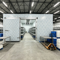 Chambre froide professionnelle pour fleurs et produits frais ; Réfrigérateur extérieur résistant aux intempéries pour la maison ; Chambre froide avec rail à viande pour la transformation de la viande
