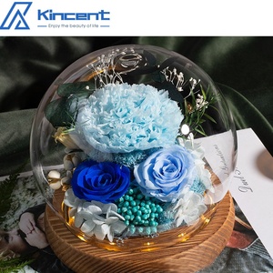 Clavel Eterno Natural, Rosa Inmortal, Decoraciones <span class=keywords><strong>de</strong></span> Flores Reales, Regalos, <span class=keywords><strong>Rosas</strong></span> Eternas para Cumpleaños, Día <span class=keywords><strong>DE</strong></span> LA Madre - Product Image 3