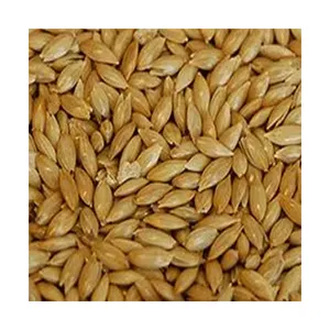At Cheapest Wholesale Price Birds Seed Mix Canary Seed Animal Bird Seed Mix Food Bulk Quantity