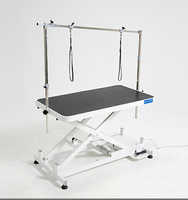 Table de toilettage électrique de luxe pour animaux de compagnie