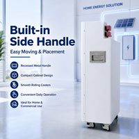 Gabinete con Ruedas para Baterías LiFePO4 de 51.2V 314Ah para Aplicaciones de Almacenamiento de Energía Limpia en el Hogar