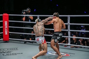Pantalones Cortos de Lucha Venum de Alta Calidad para UFC, BJJ, Entrenamiento MMA, Noche de Lucha, Pantalones Cortos de Lucha para Hombre - Product Image 4