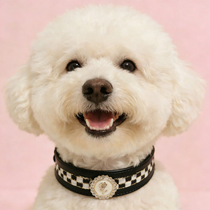 Collar para <span class=keywords><strong>Perro</strong></span> a Rayas Vintage - Collar Clásico Retro de Cuero PU para Perros Pequeños y Medianos - Product Image 5