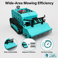 Tondeuse robot professionnelle sur chenilles 800 mm, moteur diesel 4 temps, télécommandée, pour l'agriculture, certifiée CE EPA