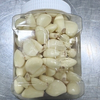 Nouveaux gousses d'ail frais pelés en gros pour l'exportation – Ail frais pelé de haute qualité de Chine