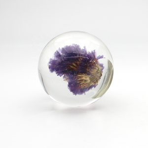 Véritable fleur sèche en résine fleur séchée <span class=keywords><strong>m</strong></span>'a <span class=keywords><strong>oublié</strong></span> pas fleur véritable floral en résine époxy boule de cristal faite à la main - Product Image 3