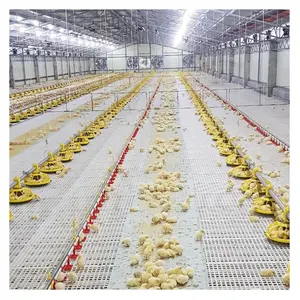 Equipamento completo controlado para fazenda de aves para casa de galinha