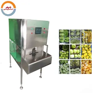 Industriel automatique éplucheur de fruits machine commerciale automatique de l'industrie fruits décortiqueur trancheuse et presse-agrumes prix bon marché à vendre