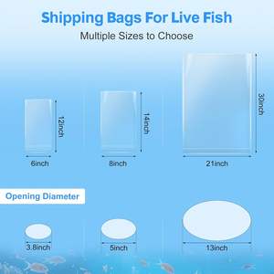 Polythene Transparent Side Gusset <b>Bags</b> with Gravure Printing for Sugar Packaging - Product Image 3