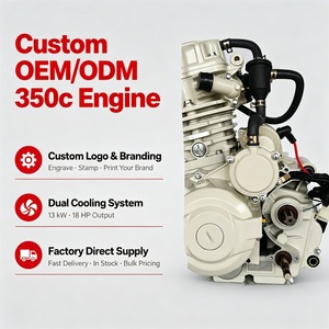 Ensemble moteur neuf 350cc 4 temps refroidi par eau avec allumage CDI pour tricycle Hanwei, directement de l'usine OEM - Product Image 3