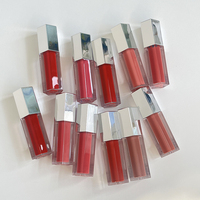 Rouge à Lèvres Liquide Vegan Hydratant Longue Tenue 24h Haute Pigmentation Marque Blanche Non Transférable