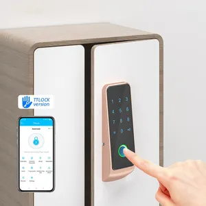 Baoxin Fábrica Atacado Alumínio Cozinha Armário Porta Segurança Fingerprint Wardrobe Gaveta Armário Bloqueio Inteligente Para Locker