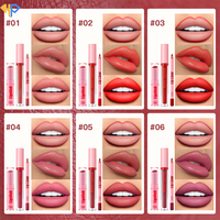 Crayon à lèvres 3-en-1, Rouge à lèvres mat et Gloss à lèvres végétalien, Gloss à lèvres waterproof, Rouge à lèvres liquide mat hydratant, Vente en gros de produits végétaliens