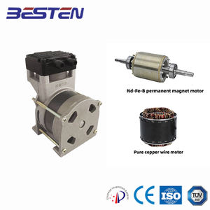 BST 60DC kompresor Piston <span class=keywords><strong>Mini</strong></span>, Piston <span class=keywords><strong>Mini</strong></span> bebas minyak 12V 24V 75W daya Input CE sertifikasi Motor 48V 60V 72V 80V 96V 110V 12V Output - Product Image 4